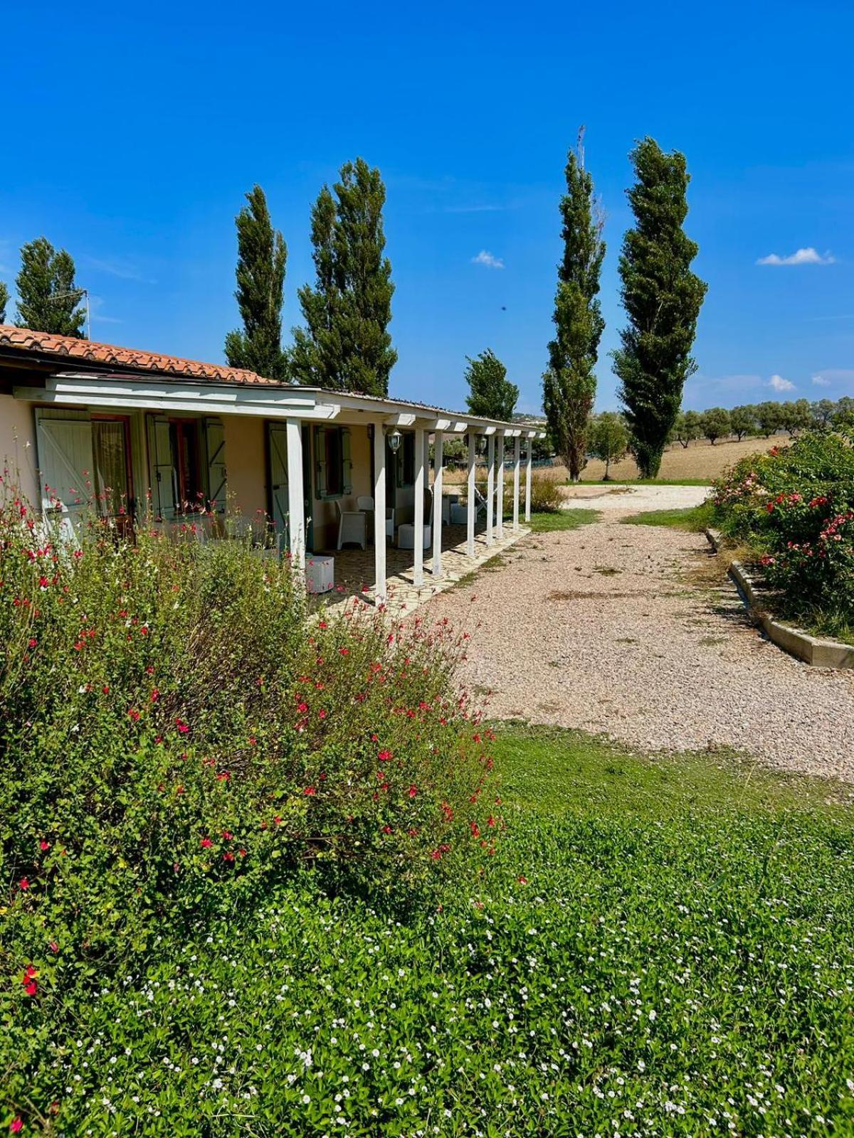 Agriturismo Podere Farnesiana 塔尔奎尼亚 外观 照片