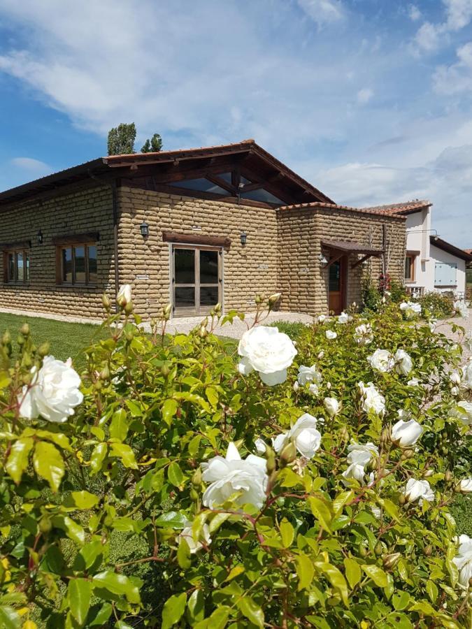 Agriturismo Podere Farnesiana 塔尔奎尼亚 外观 照片