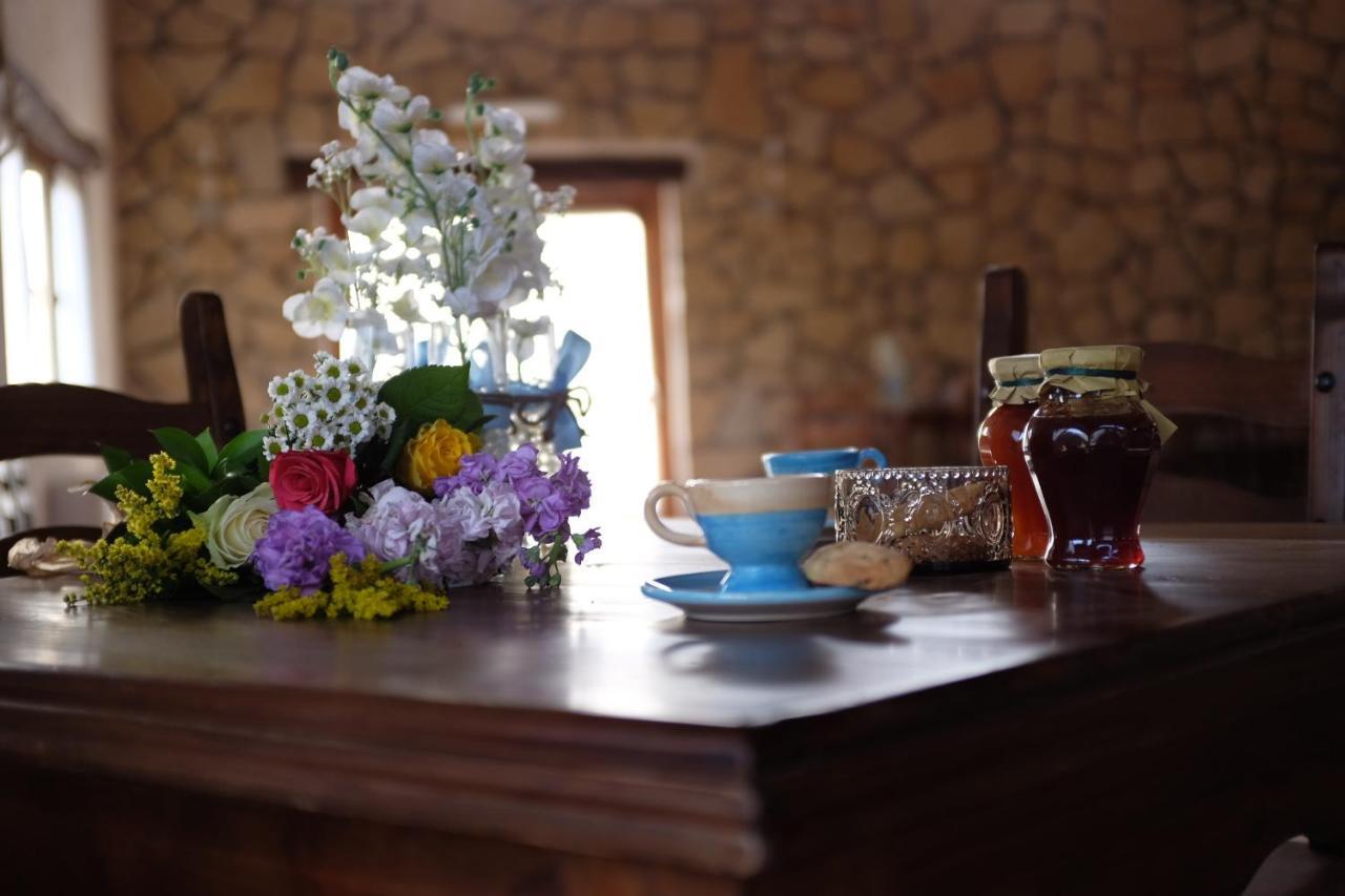 Agriturismo Podere Farnesiana 塔尔奎尼亚 外观 照片