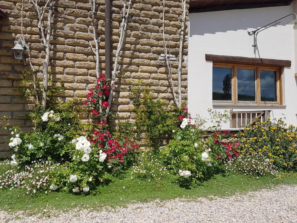 Agriturismo Podere Farnesiana 塔尔奎尼亚 外观 照片